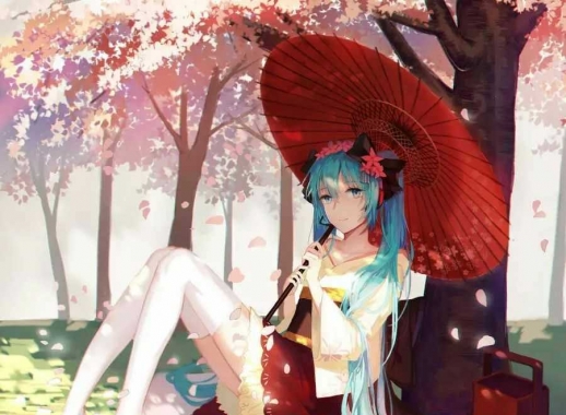 每日壁纸