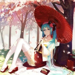 每日壁纸